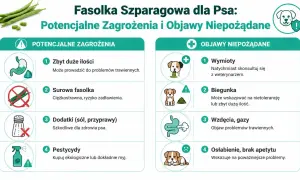Czy pies może jeść fasolkę szparagową? Informacje o zagrożeniach: zbyt duże ilości, surowa fasolka, dodatki, pestycydy. Objawy niepożądane: wymioty, biegunka, wzdęcia, osłabienie.