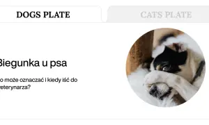 Smutny piesek z łapką na oku, sugerujący problem z biegunką u psa. Tekst informuje o przyczynach i kiedy szukać pomocy weterynaryjnej.