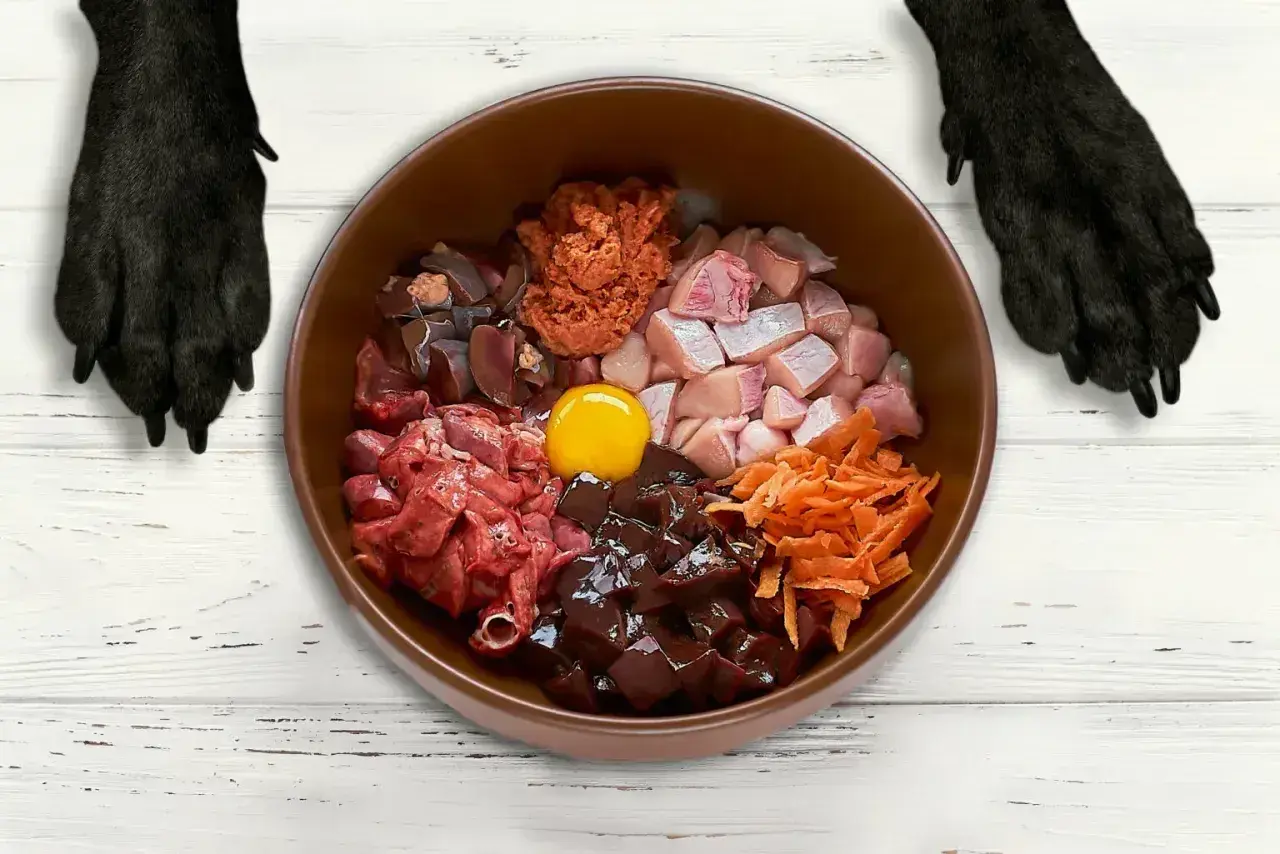 Miska pełna składników na zdrową **dietę BARF dla psa**: mięso, podroby, jajko i marchewka. Czekają na psie łapy.