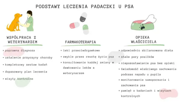 Lek na padaczkę dla psa to klucz do jego zdrowia. Na schemacie podstawy leczenia: współpraca z weterynarzem, farmakoterapia i opieka właściciela.