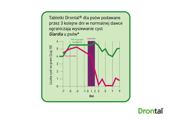 Wykres pokazuje, jak tabletki Drontal ograniczają cysty Giardia u psów. Leczone psy mają znacznie mniej cyst niż grupa kontrolna.