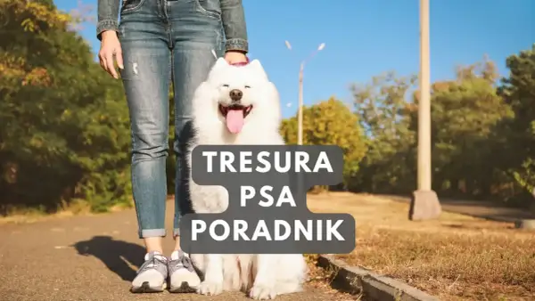 Szczęśliwy szczeniak samoyed obok właściciela. Poradnik "Tresura psa" pomoże Ci jak wychować szczeniaka.