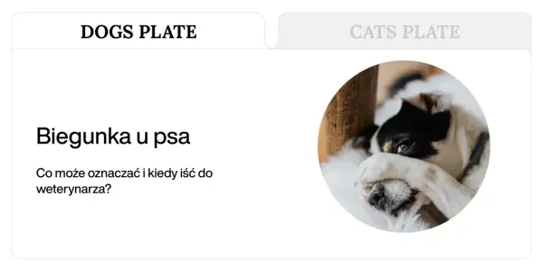 Smutny piesek z łapką na oku, sugerujący problem z biegunką u psa. Tekst informuje o przyczynach i kiedy szukać pomocy weterynaryjnej.