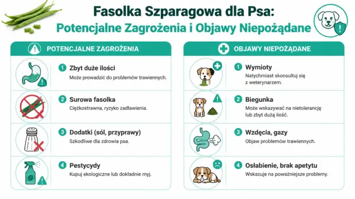 Czy pies może jeść fasolkę szparagową? Informacje o zagrożeniach: zbyt duże ilości, surowa fasolka, dodatki, pestycydy. Objawy niepożądane: wymioty, biegunka, wzdęcia, osłabienie.